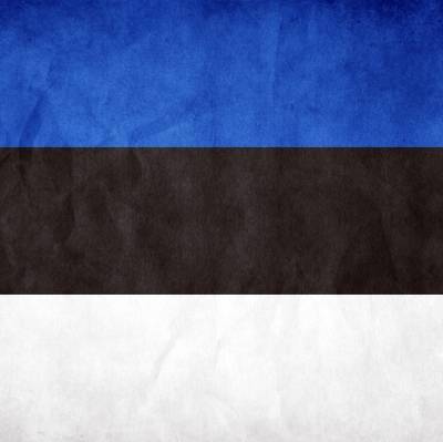 Россиян посадили на карантин в приграничном городе с видом на их дом в Эстонии - radiomayak.ru - Ленинградская обл. - Эстония - Минеральные Воды