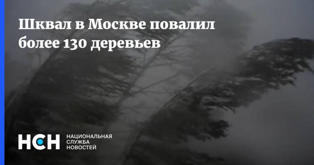 Петр Бирюков - Шквал в Москве повалил более 130 деревьев - nsn.fm - Москва - Россия