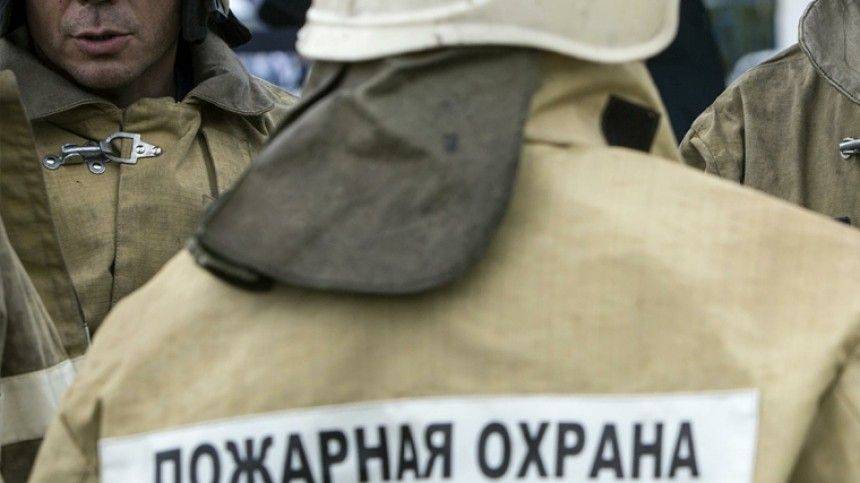 Частная пилорама полыхает в Новгородской области - 5-tv.ru - Белоруссия - Новгородская обл.