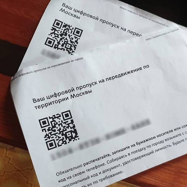 Перейти на цифровые пропуска могут перейти в 21 регионе РФ - nakanune.ru - Россия
