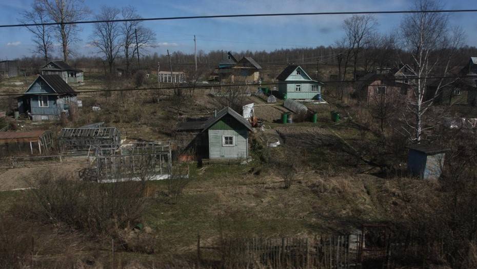 Олег Кувшинников - Жителям Вологодской области разрешили выезжать на дачи - dp.ru - Вологодская обл.