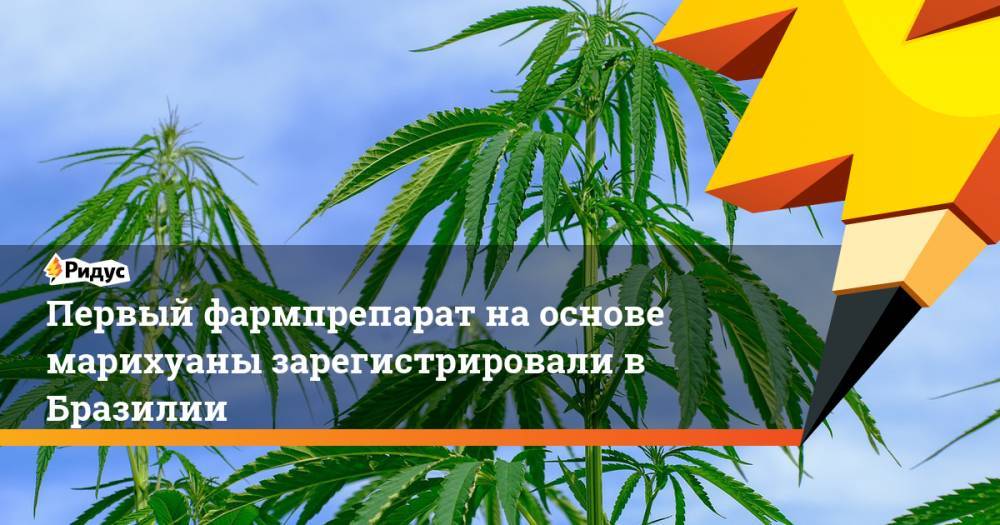 Первый фармпрепарат на основе марихуаны зарегистрировали в Бразилии - ridus.ru - Бразилия