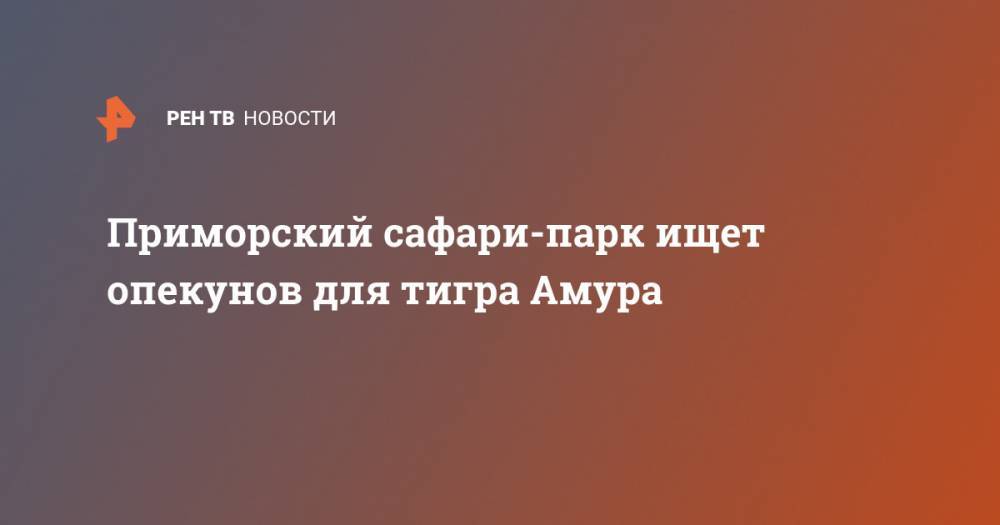 Дмитрий Мезенцев - Приморский сафари-парк ищет опекунов для тигра Амура - ren.tv - Приморье край - Тобольск - Тольятти