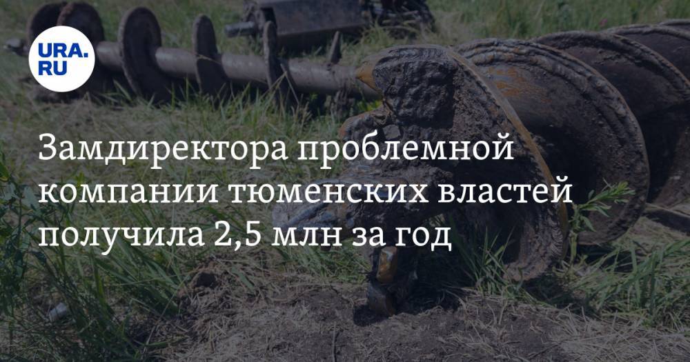 Замдиректора проблемной компании тюменских властей получила 2,5 млн за год - ura.news - Тюменская обл.