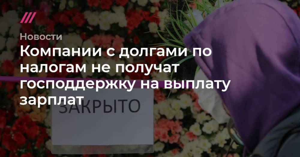 Владимир Путин - Софья Сандурская - Компании с долгами по налогам не получат господдержку на выплату зарплат - tvrain.ru - Москва