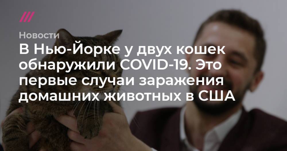 Кирилл Зыков - В Нью-Йорке у двух кошек обнаружили COVID-19. Это первые случаи заражения домашних животных в США - tvrain.ru - Москва - США - Нью-Йорк - Нью-Йорк