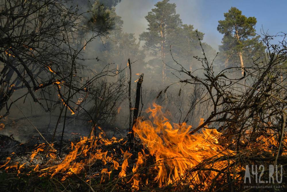 В селе Ижморского района сгорели более 25 домов - gazeta.a42.ru