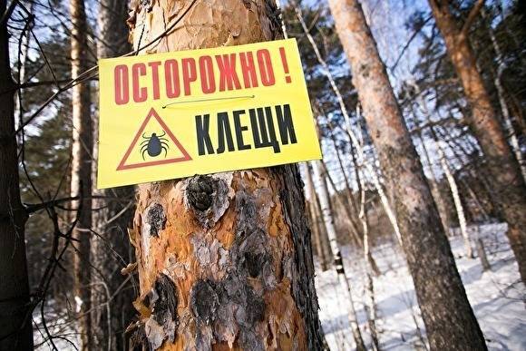 В Челябинской области 432 человека пострадали от укусов клещей - znak.com - Челябинская обл.