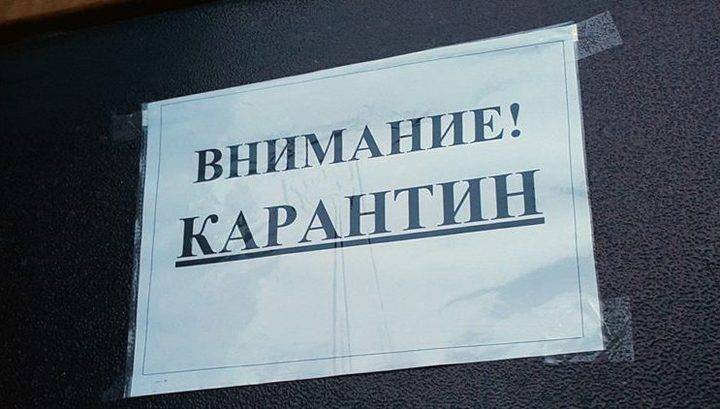 Ольга Баталина - Психлечебницы и дома престарелых могут закрыть на карантин - vesti.ru - Россия