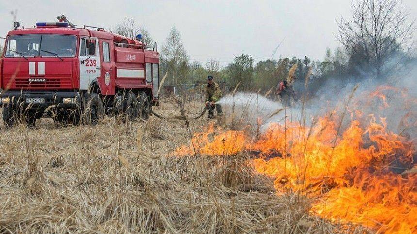 В регионах России обострилась ситуация с природными пожарами - 5-tv.ru - Россия - Красноярский край - Омская обл. - Томск - респ. Хакасия