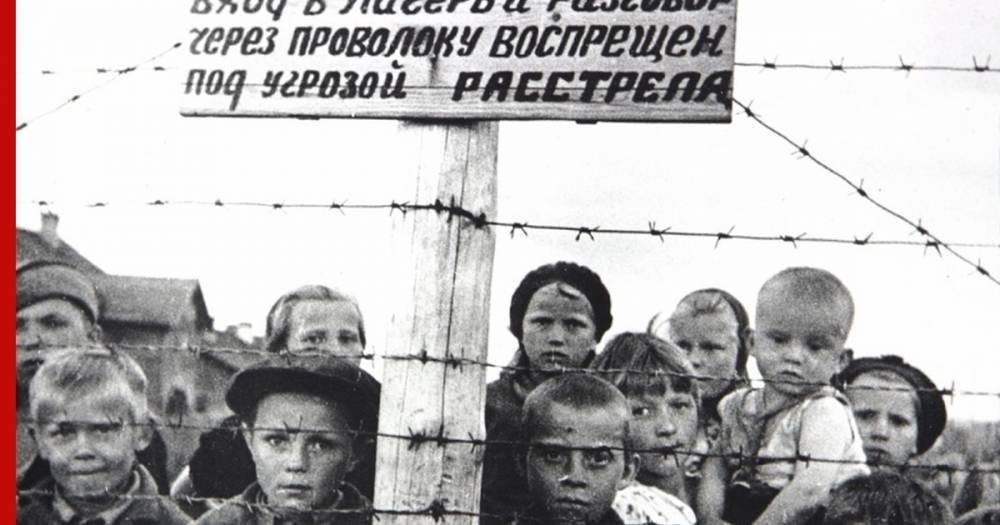 Светлана Петренко - СКР возбудил дело о геноциде мирного населения в Карелии во время ВОВ - profile.ru - Россия - Карелия