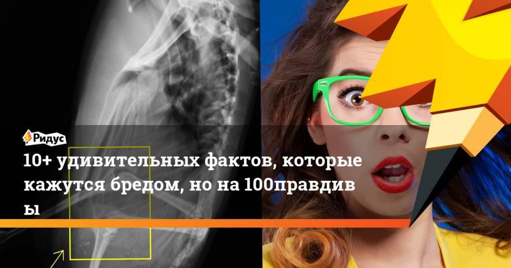 10+ удивительных фактов, которые кажутся бредом, нона100% правдивы - ridus.ru - Австралия - Саудовская Аравия - Йемен