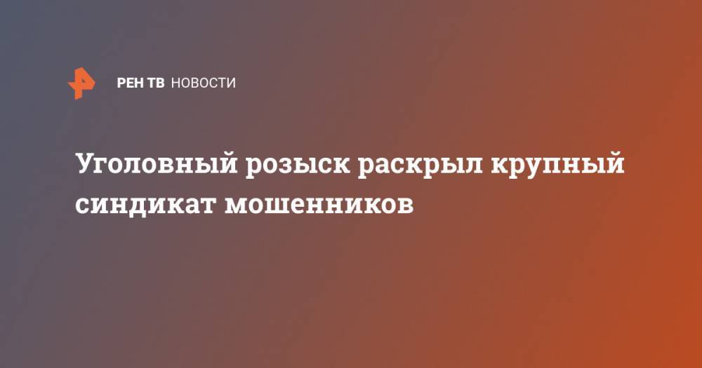 Ирина Волк - Уголовный розыск раскрыл крупный синдикат мошенников - ren.tv - Москва - Россия - Санкт-Петербург - Воронеж - Новосибирск