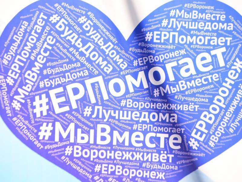 Владимир Путин - Месяц борьбы с пандемией: Волонтеры помогли десяткам тысяч россиян - moe-online.ru - Россия - Тула - Тверь - Нижний Новгород - Владивосток