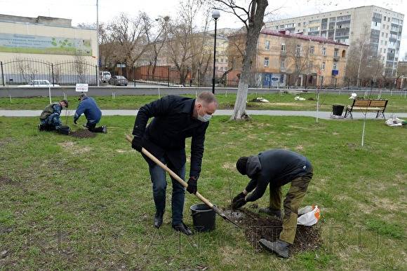 В Кургане в сквере-саду барона Розена высадили новые деревья - znak.com