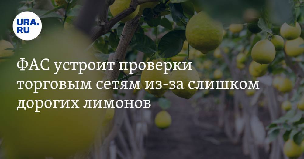 Андрей Тенишев - ФАС устроит проверки торговым сетям из-за слишком дорогих лимонов - ura.news
