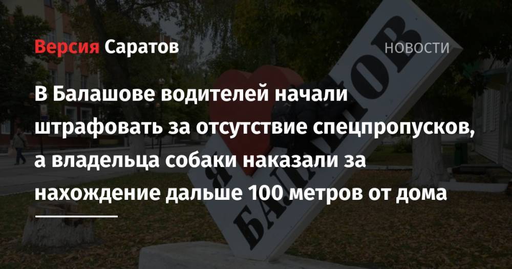 В Балашове водителей начали штрафовать за отсутствие спецпропусков, а владельца собаки наказали за нахождение дальше 100 метров от дома - nversia.ru