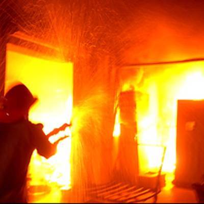Дачный поселок сгорел в Новосибирской области - radiomayak.ru - Новосибирская обл. - район Мошковский