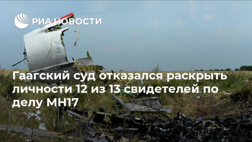 Олег Пулатов - Гаагский суд отказался раскрыть личности 12 из 13 свидетелей по делу MH17 - ria.ru - Москва - Россия - Украина - Гаага