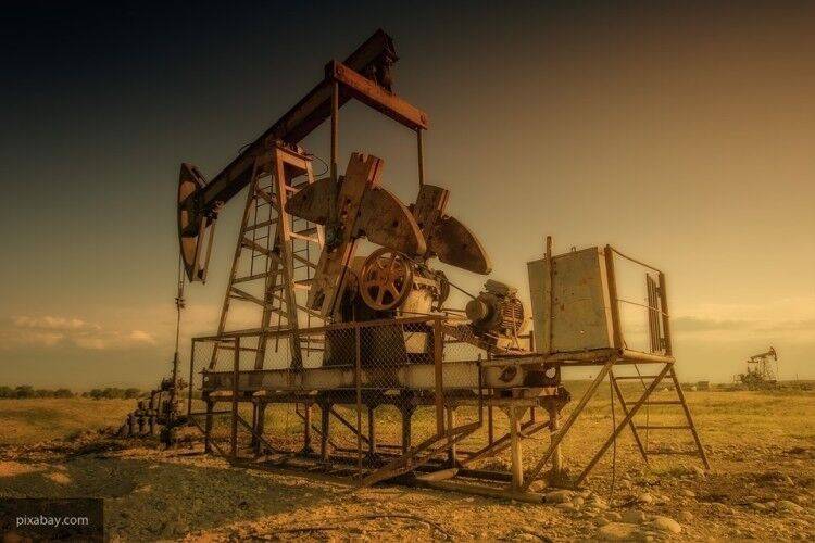 Борис Рожин - Рожин заявил, что США пытаются "прижать" сирийцев ради нефти и внутреннего раскола САР - nation-news.ru - США - Сирия