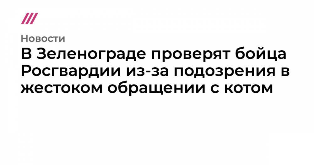 В Зеленограде проверят бойца Росгвардии из-за подозрения в жестоком обращении с котом - tvrain.ru - Россия - Зеленоград