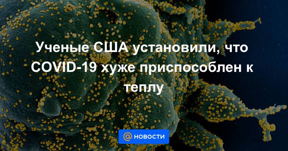Ученые США установили, что COVID-19 хуже приспособлен к теплу - news.mail.ru - США