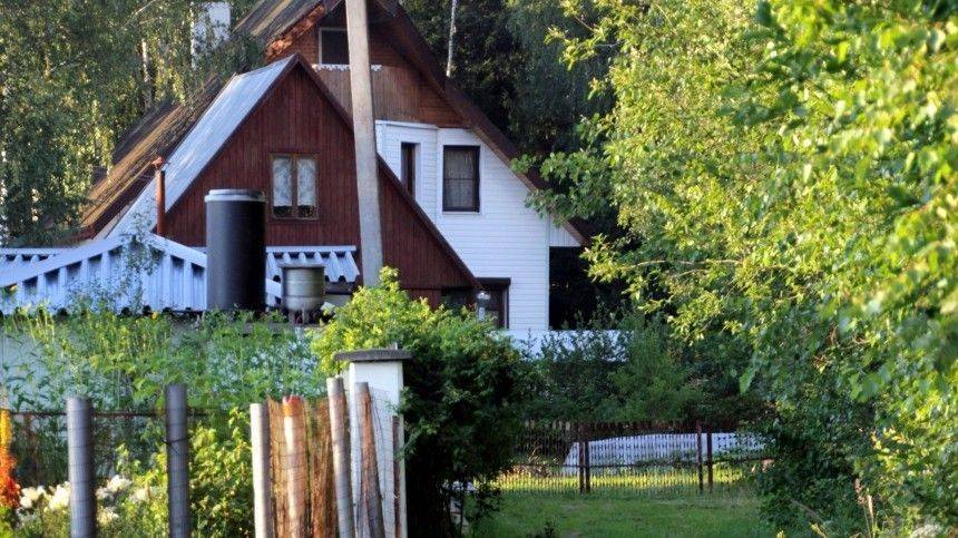 Александр Дрозденко - В Ленинградской области введут ограничения для дачников - 5-tv.ru - Ленинградская обл. - Санкт-Петербург
