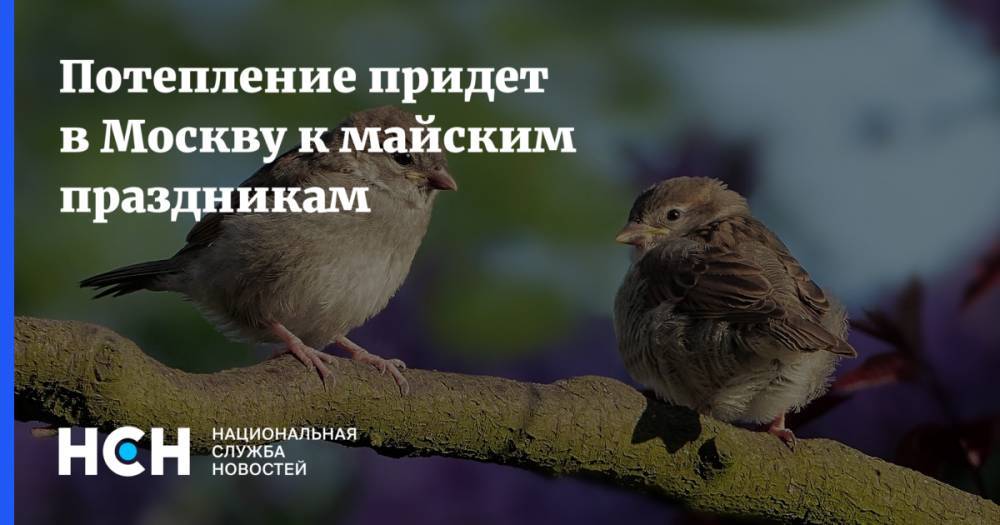 Евгений Тишковец - Потепление придет в Москву к майским праздникам - nsn.fm - Москва