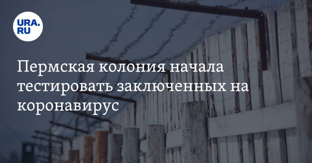 Пермская колония начала тестировать заключенных на коронавирус - ura.news - Россия - Пермский край