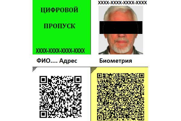 В Петербурге приготовили цветные цифровые пропуска для режима самоизоляции - abnews.ru - Санкт-Петербург