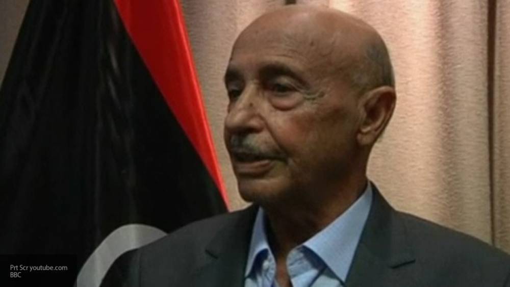Агила Салех - Салех рассказал об этапах формирования Президентского совета в Ливии - politros.com - Ливия