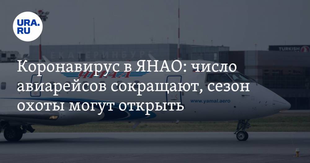 Дмитрий Артюхов - Коронавирус в ЯНАО: число авиарейсов сокращают, сезон охоты могут открыть. Последние новости 24 апреля - ura.news - Россия - Тюменская обл. - Свердловская обл. - окр. Янао