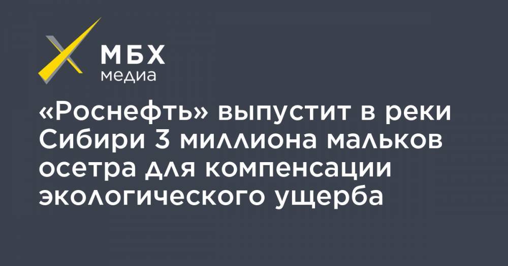 «Роснефть» выпустит в реки Сибири 3 миллиона мальков осетра для компенсации экологического ущерба - mbk.news