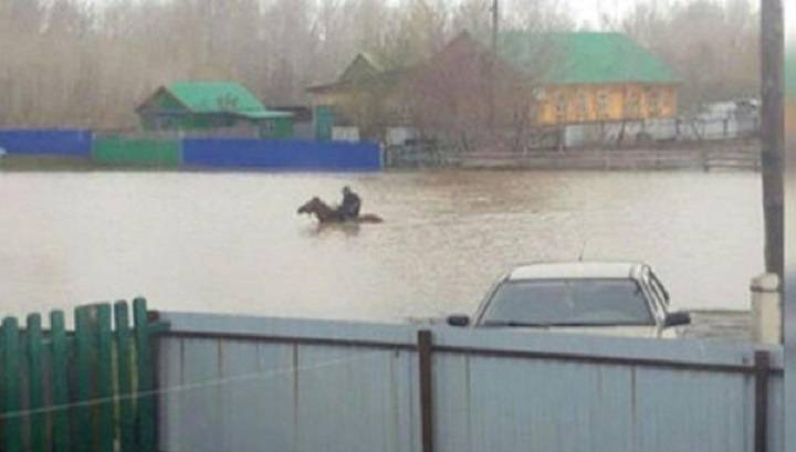 В башкирском селе жители ездят по затопленной улице верхом на коне - vesti.ru - Россия - Башкирия - Уфа