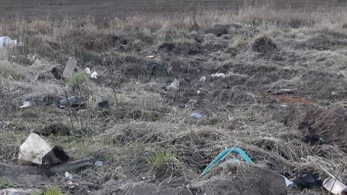 В поселке Лужского района устроили мусорный полигон рядом с засеянным полем - piter.tv - район Лужский - Луга