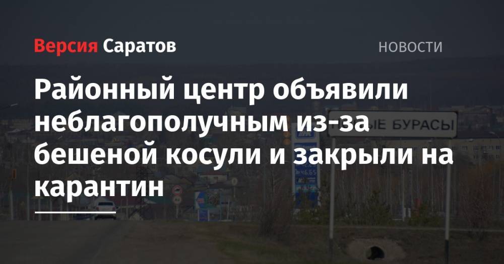 Валерий Радаев - Районный центр объявили неблагополучным из-за бешеной косули и закрыли на карантин - nversia.ru - Саратовская обл.