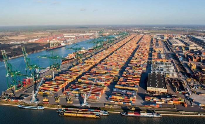В Антверпенском порту нашли почти 4 тонны кокаина в контейнере с рыбой - theins.ru - Голландия - Антверпен