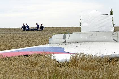 Личность 13-го свидетеля по делу о крушении Boeing MH17 оставят в тайне - newsland.com - Гаага