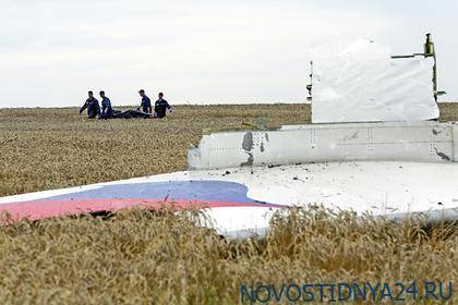Личность 13-го свидетеля по делу о крушении Boeing MH17 оставят в тайне - novostidnya24.ru - Гаага