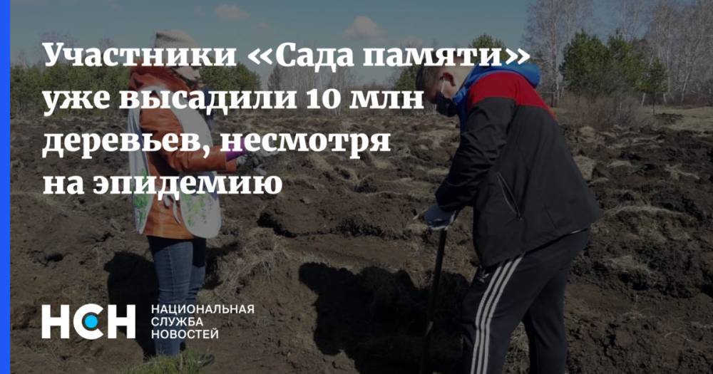 Участники «Сада памяти» уже высадили 10 млн деревьев, несмотря на эпидемию - nsn.fm - Россия - Кемеровская обл. - Курганская обл. - Ивановская обл.