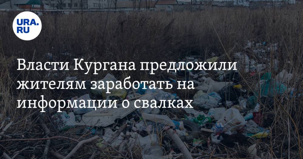 Власти Кургана предложили жителям заработать на информации о свалках - ura.news - Курганская обл.