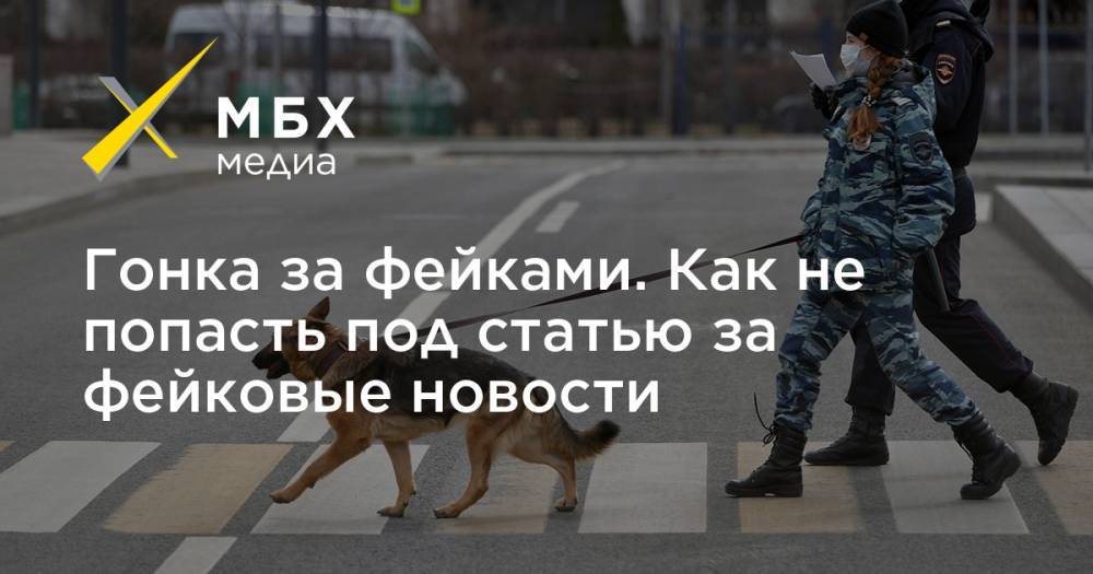 Владимир Путин - Гонка за фейками. Как не попасть под статью за фейковые новости - mbk.news