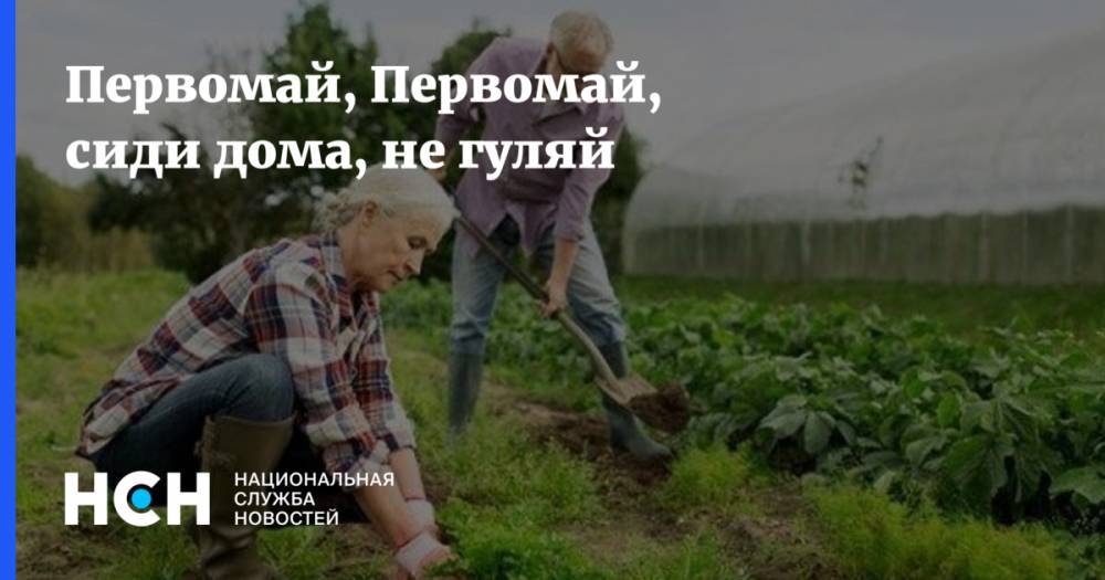 Валентина Матвиенко - Первомай, Первомай, сиди дома, не гуляй - nsn.fm