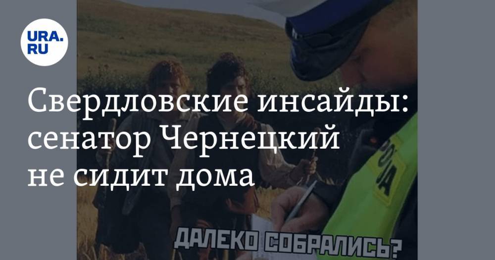 Александр Высокинский - Евгений Куйвашев - Владимир Андреев - Свердловские инсайды: сенатор Чернецкий не сидит дома - ura.news - Екатеринбург