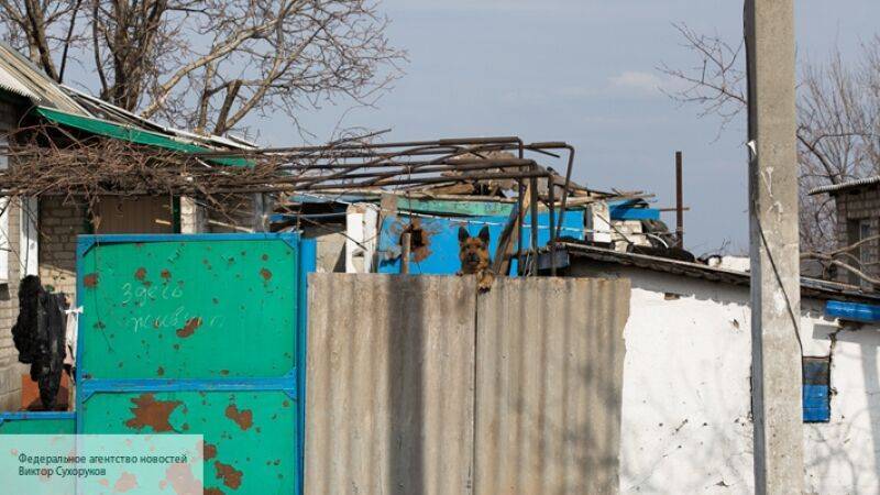 Судебный пристав из Бурятии спас мальчика и бабушку от огромного пса - politros.com - Улан-Удэ - респ.Бурятия