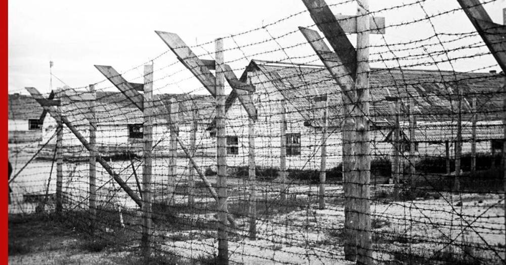 Финская газета оправдала создание в годы войны концлагерей в Карелии - profile.ru - Финляндия - Карелия - Sanomat