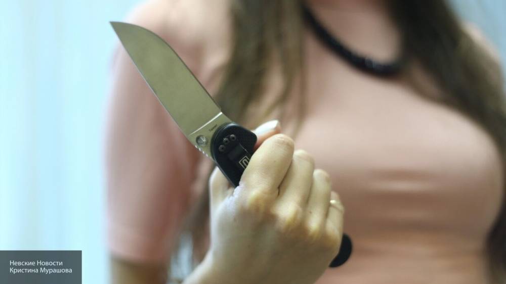 Жительница города Остров убила своего гостя 87 ударами ножа - inforeactor.ru - Саратова - Псков - Остров