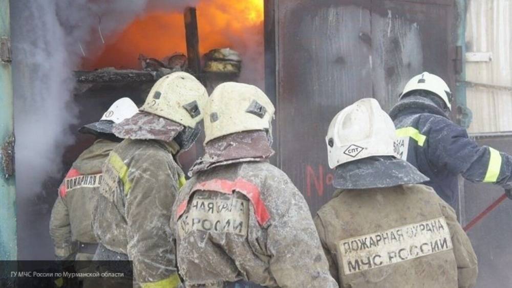Константин Салаев - Саратовец сгорел при пожаре на даче на Кумысной поляне - nation-news.ru - Саратов