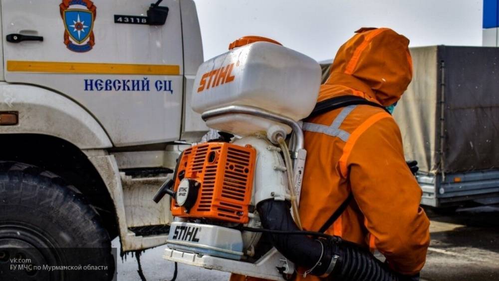Михаил Мишустин - Мишустин поручил Минобороны РФ проработать вопрос дезинфекции улиц и домов - nation-news.ru - Россия