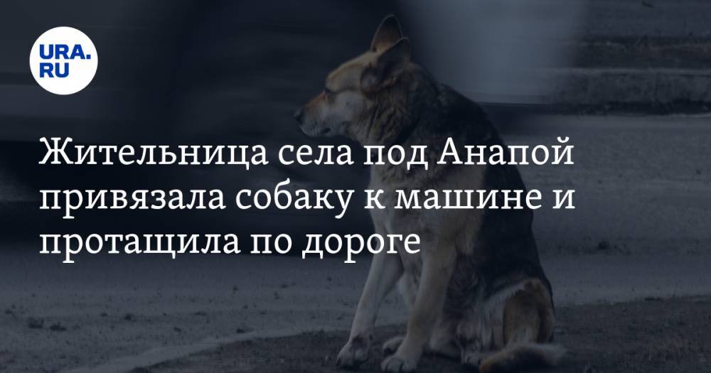 Жительница села под Анапой привязала собаку к машине и протащила по дороге - ura.news - Анапа - Краснодарский край